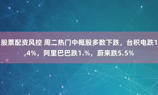股票配资风控 周二热门中概股多数下跌，台积电跌1.4%，阿里巴巴跌1.%，蔚来跌5.5%