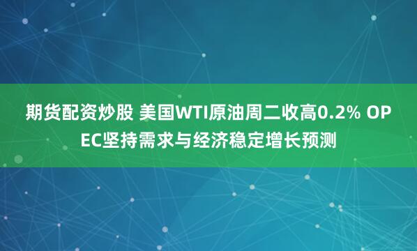 期货配资炒股 美国WTI原油周二收高0.2% OPEC坚持需求与经济稳定增长预测