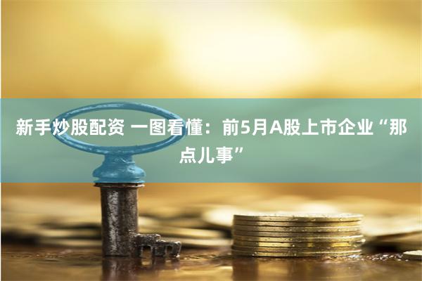 新手炒股配资 一图看懂：前5月A股上市企业“那点儿事”